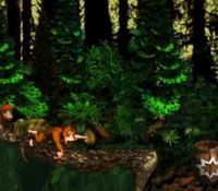 une photo d'Ã©cran de Donkey Kong Country sur Nintendo Super Nes